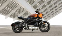 Lorem id ex sed quid