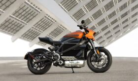 Lorem id ex sed quid